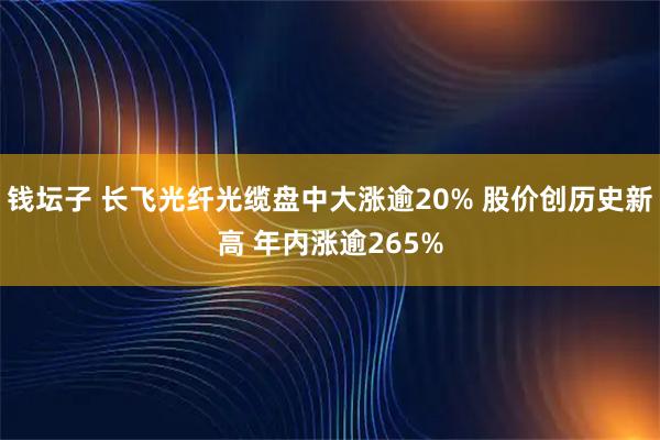 钱坛子 长飞光纤光缆盘中大涨逾20% 股价创历史新高 年内涨逾265%