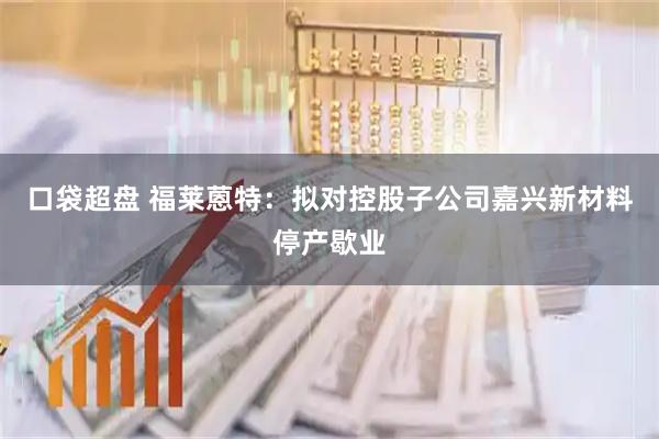 口袋超盘 福莱蒽特：拟对控股子公司嘉兴新材料停产歇业