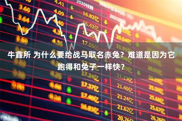牛鑫所 为什么要给战马取名赤兔？难道是因为它跑得和兔子一样快？