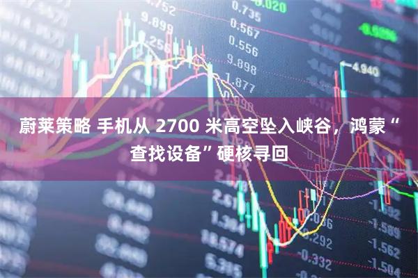 蔚莱策略 手机从 2700 米高空坠入峡谷,鸿蒙“查找设备”硬核寻回
